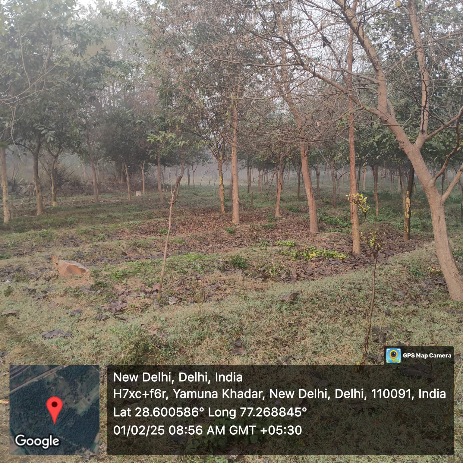 Compensatory Afforestation
